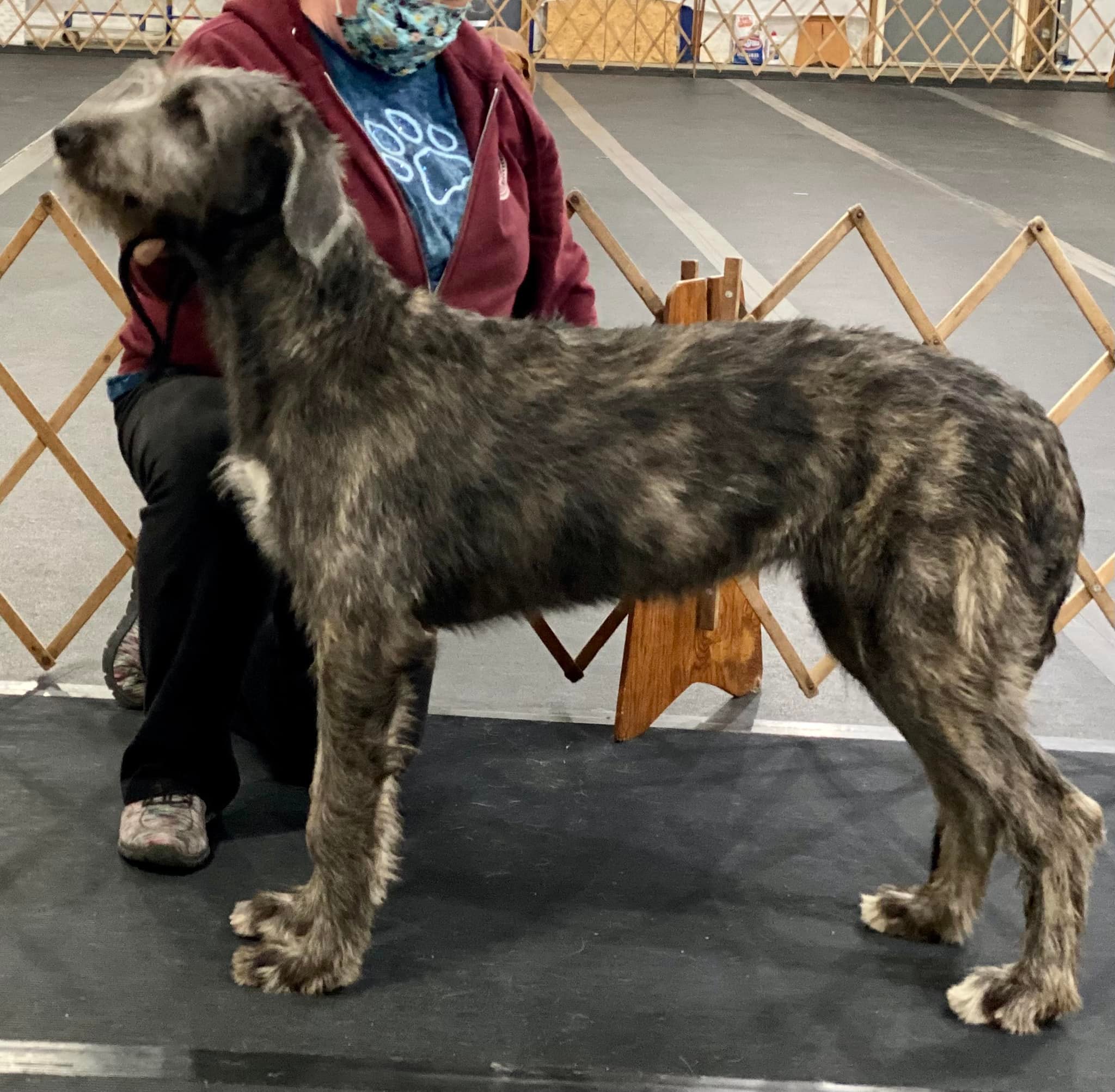 The Gals HopsNHounds Kennels