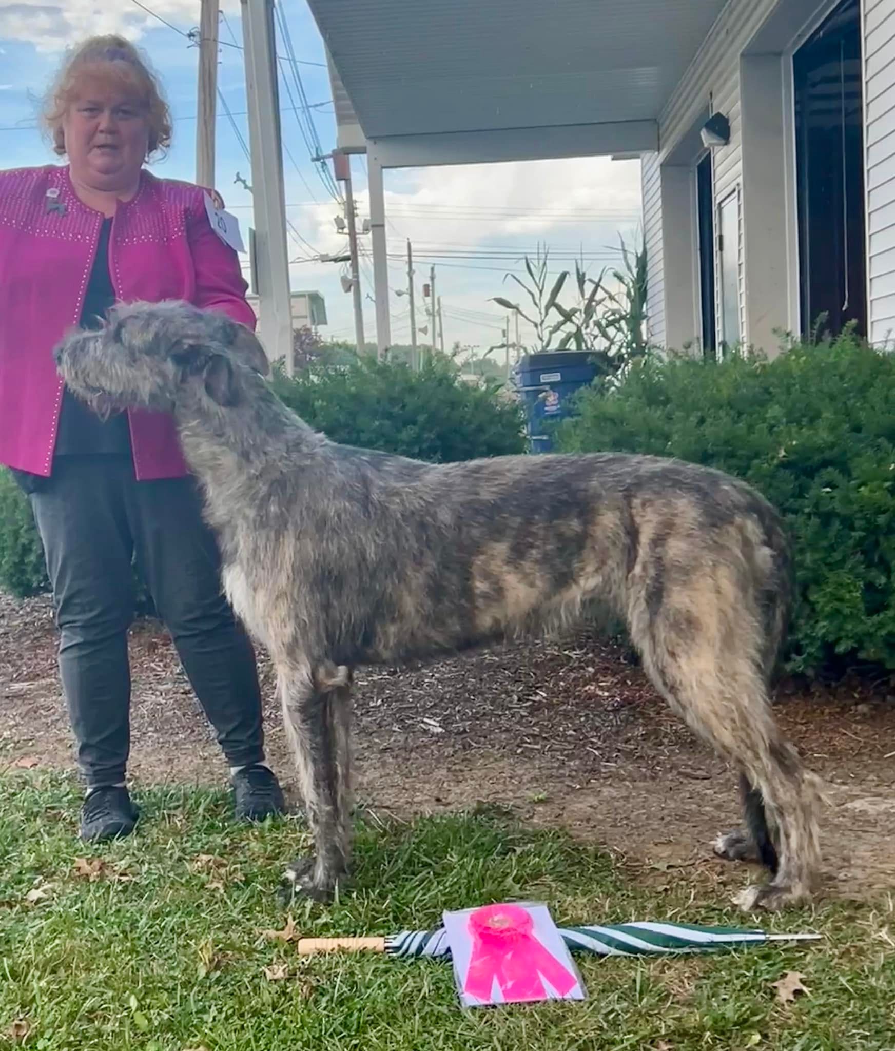 The Gals HopsNHounds Kennels